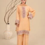 69_b54ac3d3-0142-49e0-94a9-6bedbd1fc1b4 (1)